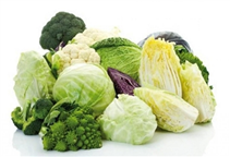 آشنایی با منابع کودی مولیبدن