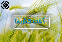 سم شناسی آفت کش ها