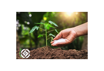 آشنایی با کود آمونیوم نیترات (AN)