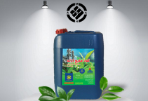 شرایط تزریق کود مایع اوره آمونیوم نیترات (UAN) در نزدیکی بذر