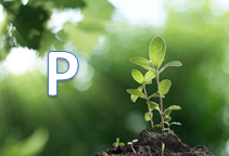 آشنایی با کودهای فسفری