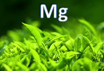 آشنایی با نقش عنصر منیزیم در خاک