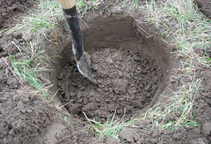 آشنایی با روش چالکود (کانال کود) برای درختان میوه