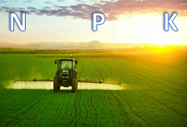 توصیه کودی عمومی برای غلات