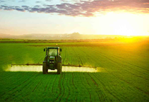 آشنایی با تاثیرات محلول پاشی عناصر غذایی بر محصولات