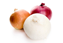 آشنایی با زراعت پیاز