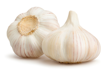 آشنایی با زراعت سیر