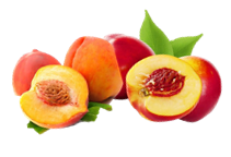 آشنایی با درختان هلو و شلیل و نحوه نگهداری آن