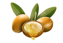 آشنایی با کاشت و پرورش آرگان