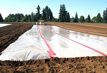 آشنایی با ضدعفونی خاک 