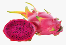 آشنایی با کاشت و پرورش دراگون فروت