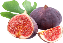 آشنایی با درخت انجیر و نحوه نگهداری آن