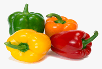 آشنایی با زراعت فلفل دلمه‌ای