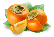 آشنایی با درخت خرمالو و نحوه نگهداری آن