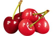 آشنایی با درخت گیلاس و آلبالو و نحوه نگهداری آن