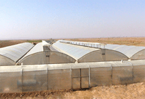 آشنایی با مکان‌یابی ساخت گلخانه (قسمت اول)