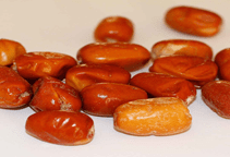 آشنایی با گیاه صنعتی و دارویی سنجد