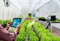 آشنایی با کنترل عوامل محیطی در گلخانه