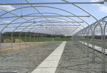 آشنایی با انواع سازه گلخانه (قسمت اول)