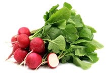 آشنایی با زراعت تُربچه