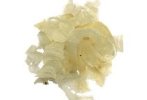 آشنایی با گیاه صنعتی و دارویی گَون (کتیرا)