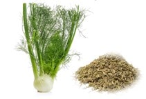 آشنایی با گیاه دارویی رازیانه