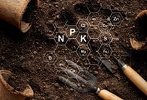 آشنایی با نقش عناصر ریزمغذی در تغذیه گیاهان (قسمت اول)
