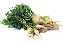 آشنایی با زراعت شلغم علوفه‌ای 