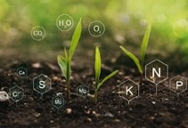 آشنایی با مکانیسم جذب عناصر غذایی توسط گیاه