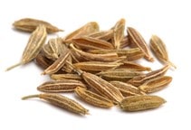 آشنایی با گیاه صنعتی و دارویی زیره سبز