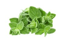 آشنایی با گیاه دارویی مرزنجوش