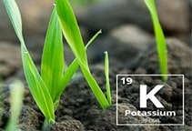 آشنایی با تثبیت پتاسیم در خاک