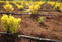 آشنایی با مکان‌یابی ساخت گلخانه (قسمت سوم)