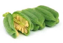 آشنایی با بیماری‌های کنجد (قسمت اول)