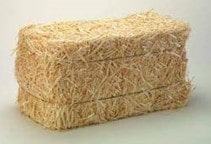 آشنایی با کاه برنج در تغذیه دام