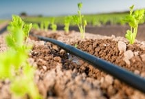 آشنایی با آبیاری قطره‌ای