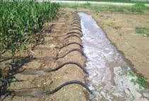 آشنایی با کاربرد سیفون در آبیاری سطحی (قسمت دوم)