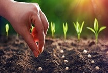 آشنایی با کاشت (قسمت اول)