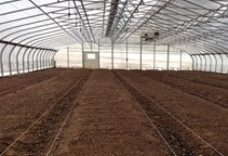 آشنایی با بسترهای کشت گلخانه (قسمت دوم)