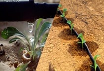 آشنایی با سیستم‌های آبیاری قطره‌ای (قسمت دوم)