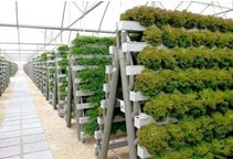 آشنایی با بسترهای کشت گلخانه (قسمت سوم)