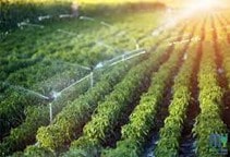 آشنایی با آبیاری بارانی کلاسیک ثابت