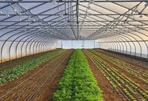 آشنایی با نقش دی اکسید کربن در گلخانه (قسمت اول)