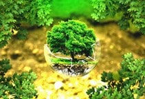 آشنایی با مصرف سموم و آلودگی‌های محیط زیست (قسمت اول)