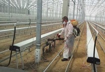 آشنایی با بهداشت در گلخانه (قسمت اول)