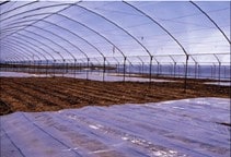 آشنایی با بهداشت در گلخانه (قسمت دوم)