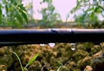 آشنایی با شیم‌آبیاری (قسمت اول)