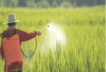 آشنایی با حذف علفکش بوتاكلر و معرفی علفكش‌هاي جايگزين (قسمت دوم)