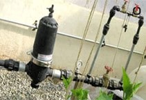 آشنایی با مدیریت آبیاری در گلخانه (قسمت سوم)