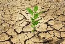 آشنایی با محیط فیزیکی خاک از لحاظ جوانه‌زنی بذر (قسمت اول)